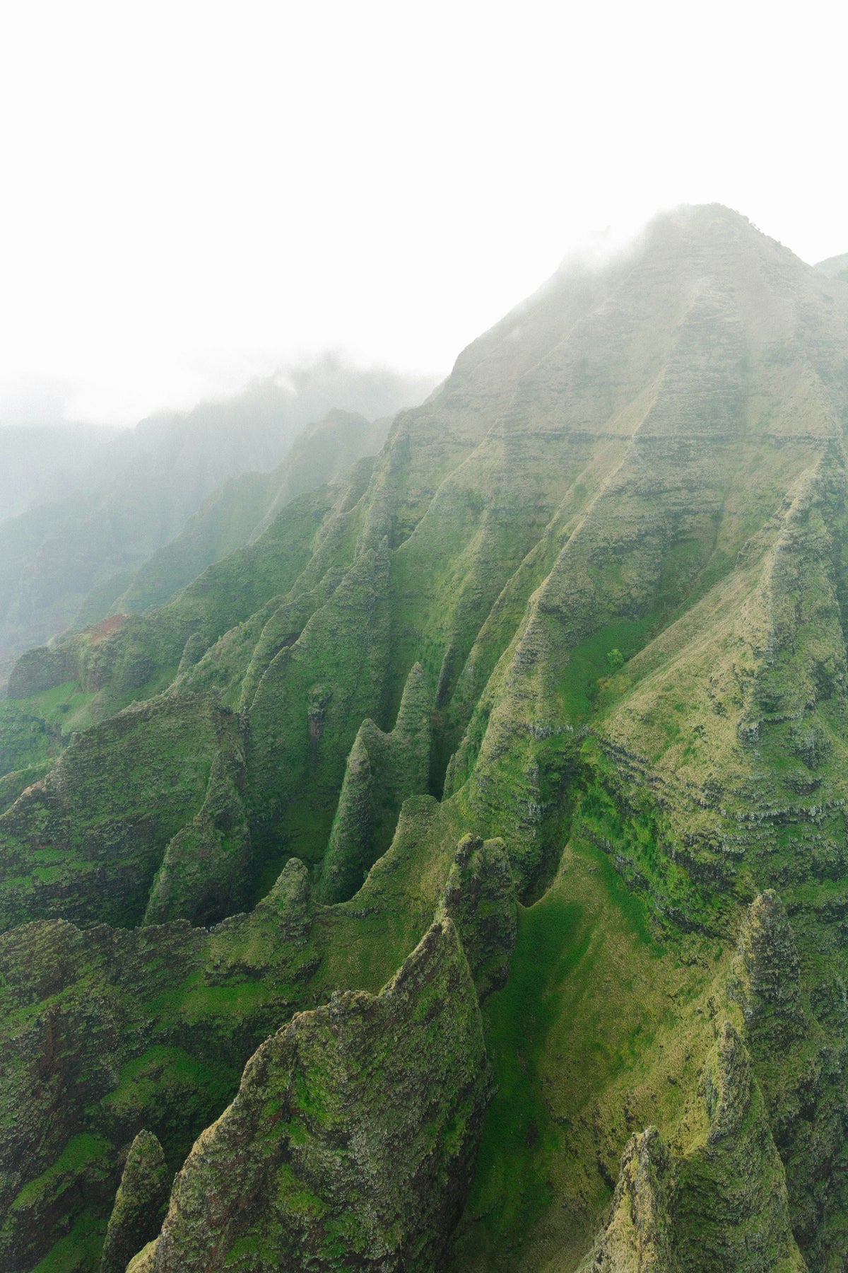 For Kauaʻi